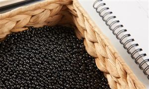 宠物服饰行业发展前景及现状分析2023(图5)