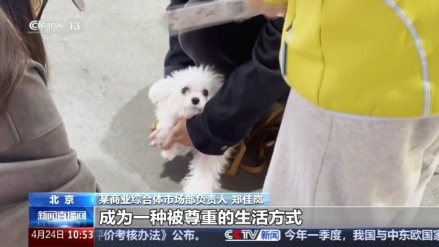 市场规模超3100亿元“它经济”释放消费新活力(图3)